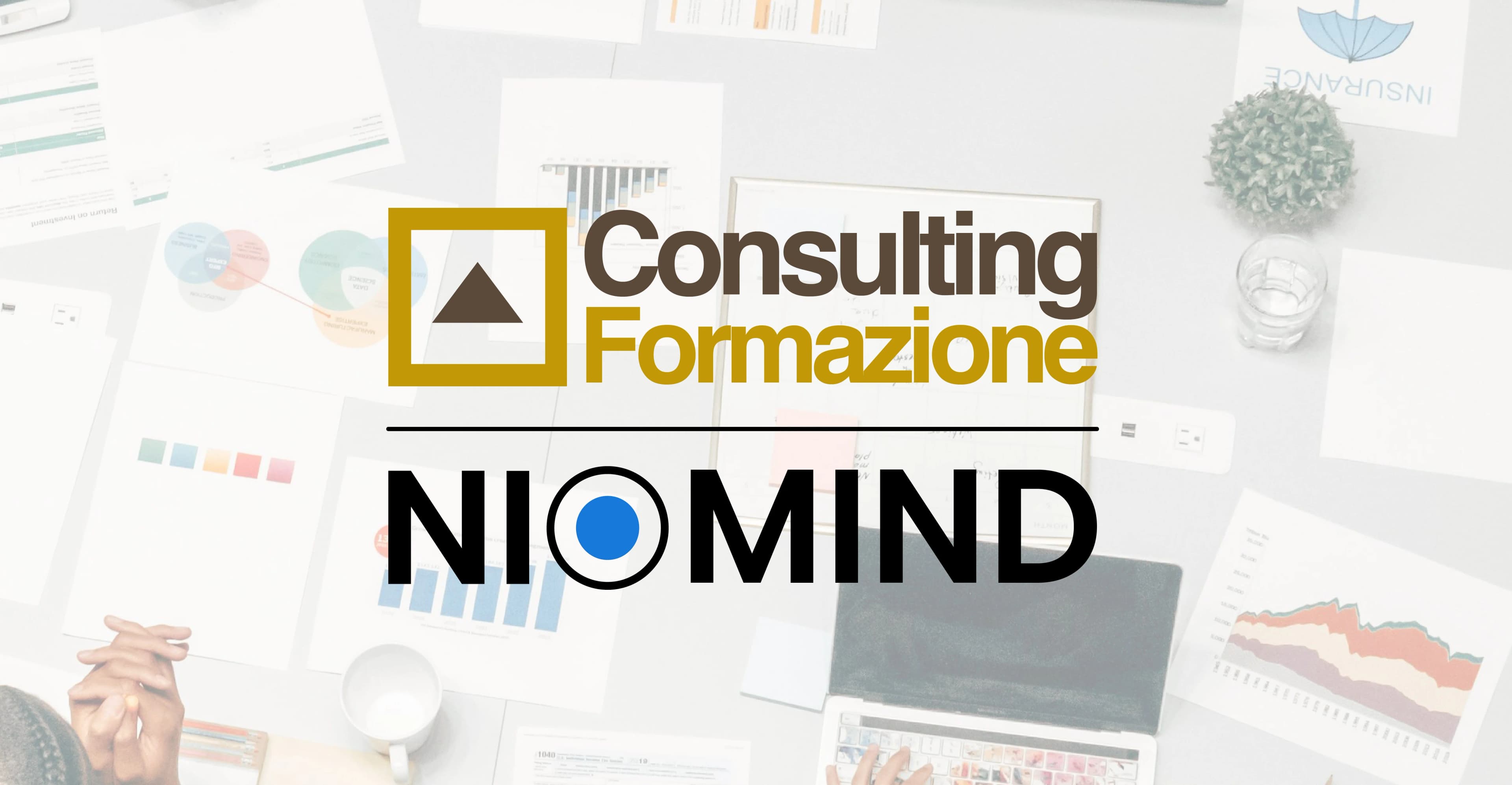 Consulting Formazione