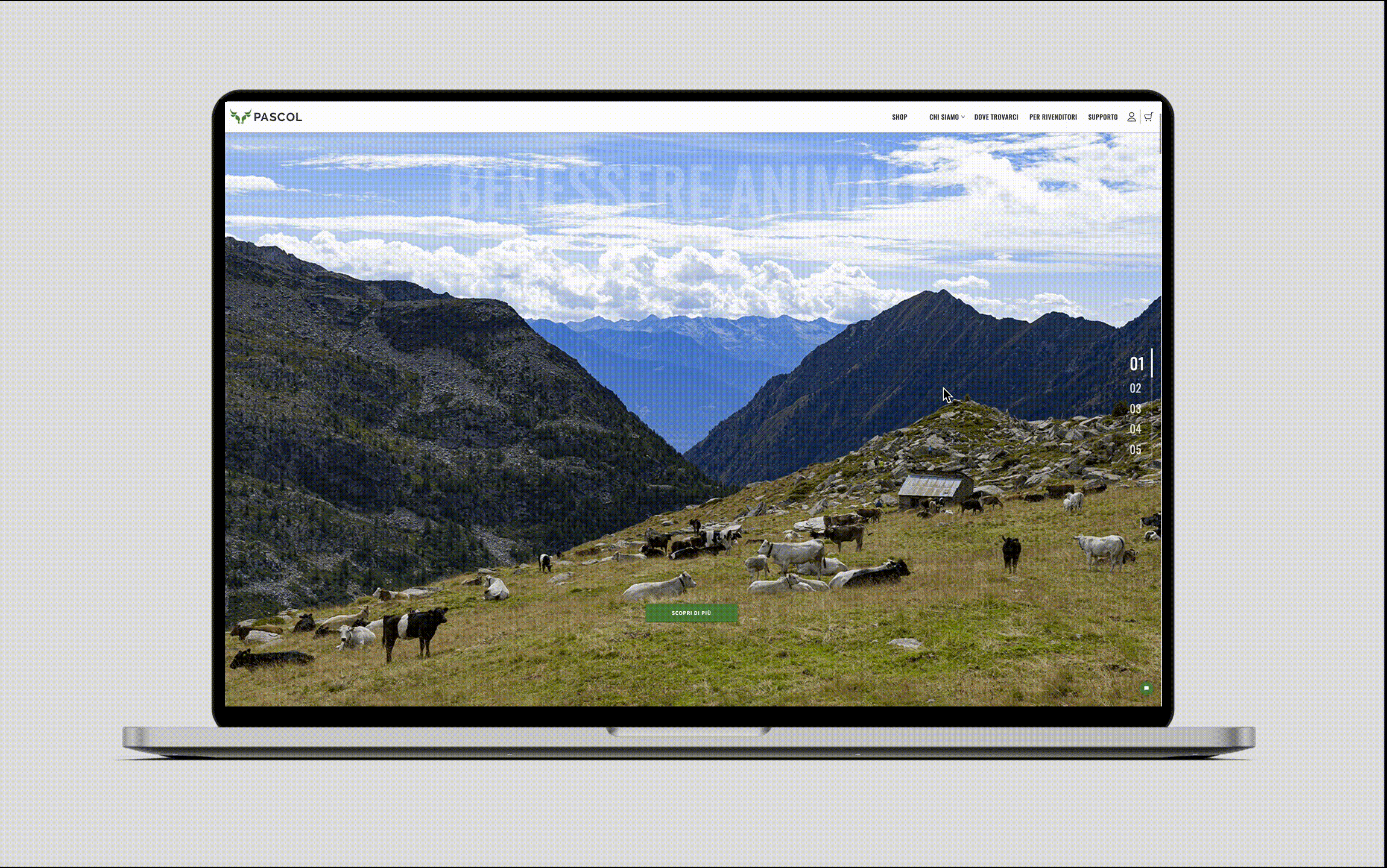 Animazione disruptive
